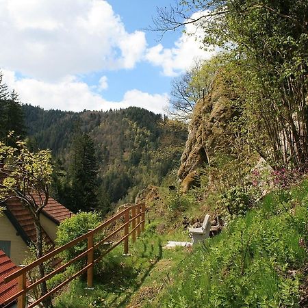 Haus Am Waldrand Villa Triberg im Schwarzwald Екстериор снимка