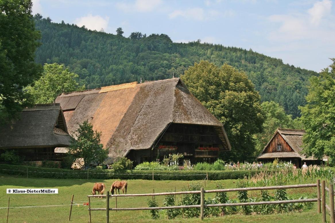 Haus Am Waldrand Villa Triberg im Schwarzwald Екстериор снимка
