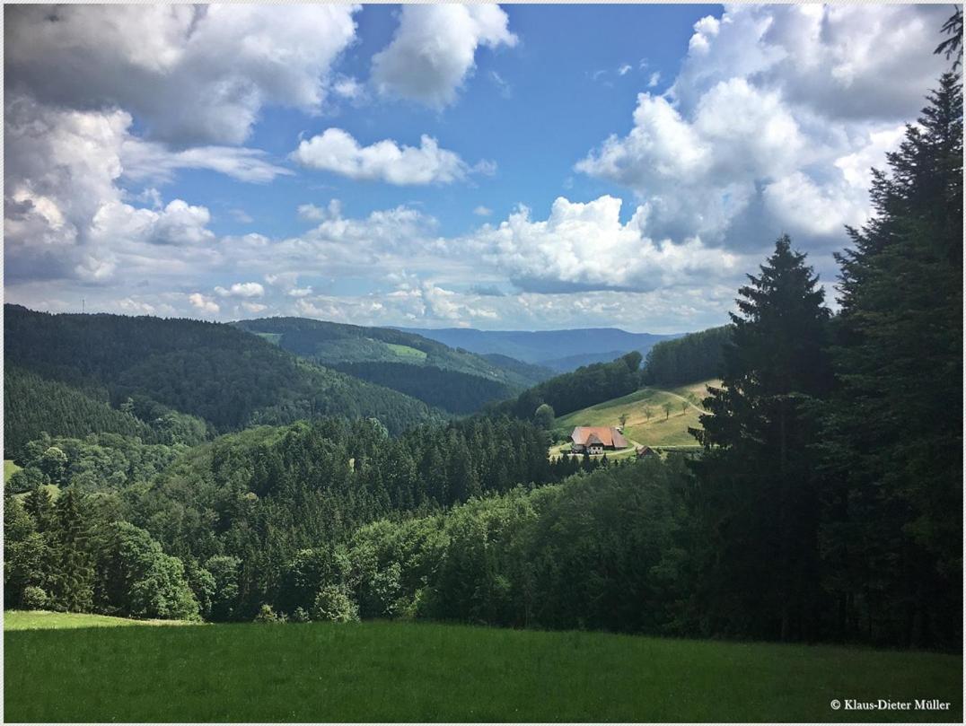 Haus Am Waldrand Villa Triberg im Schwarzwald Екстериор снимка