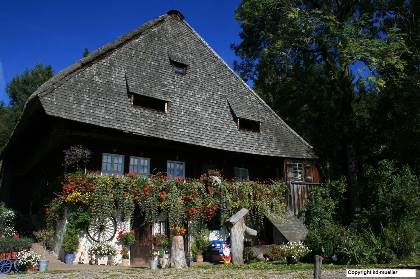 Haus Am Waldrand Villa Triberg im Schwarzwald Екстериор снимка