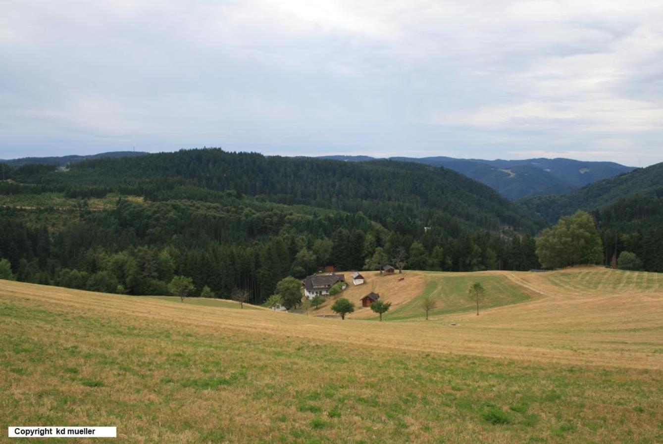 Haus Am Waldrand Villa Triberg im Schwarzwald Екстериор снимка