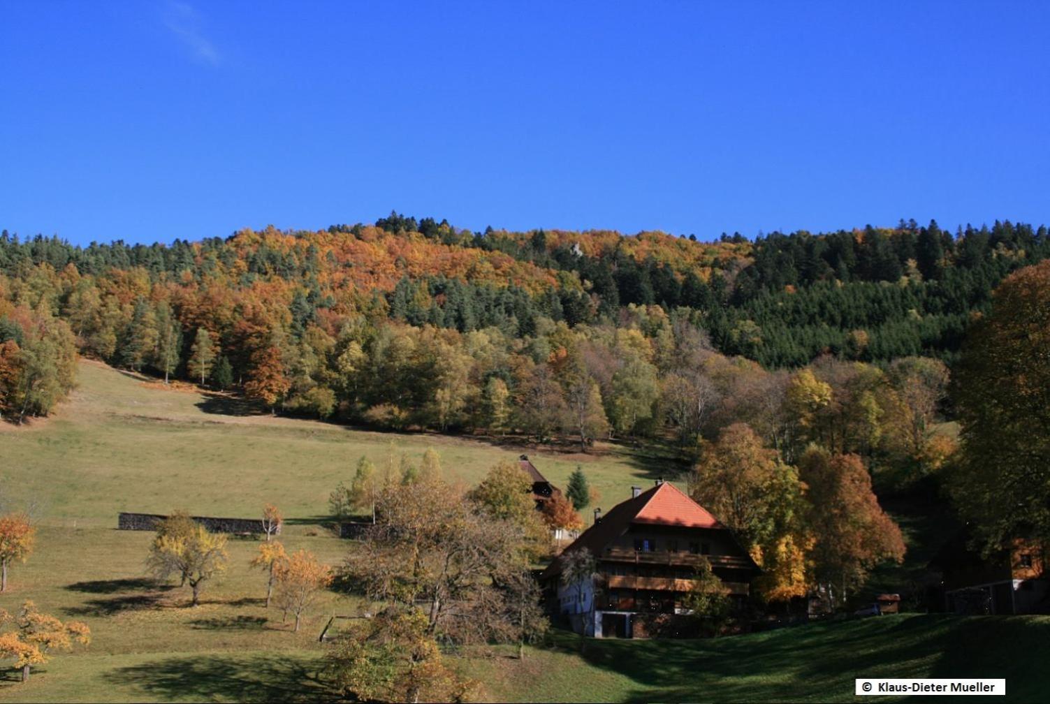 Haus Am Waldrand Villa Triberg im Schwarzwald Екстериор снимка