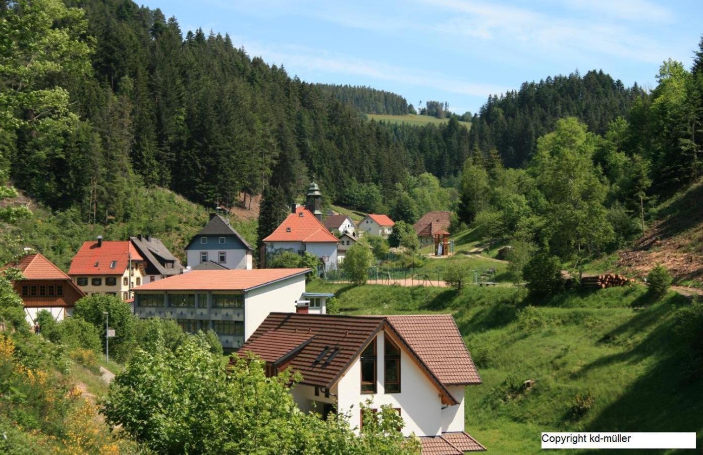 Haus Am Waldrand Villa Triberg im Schwarzwald Екстериор снимка