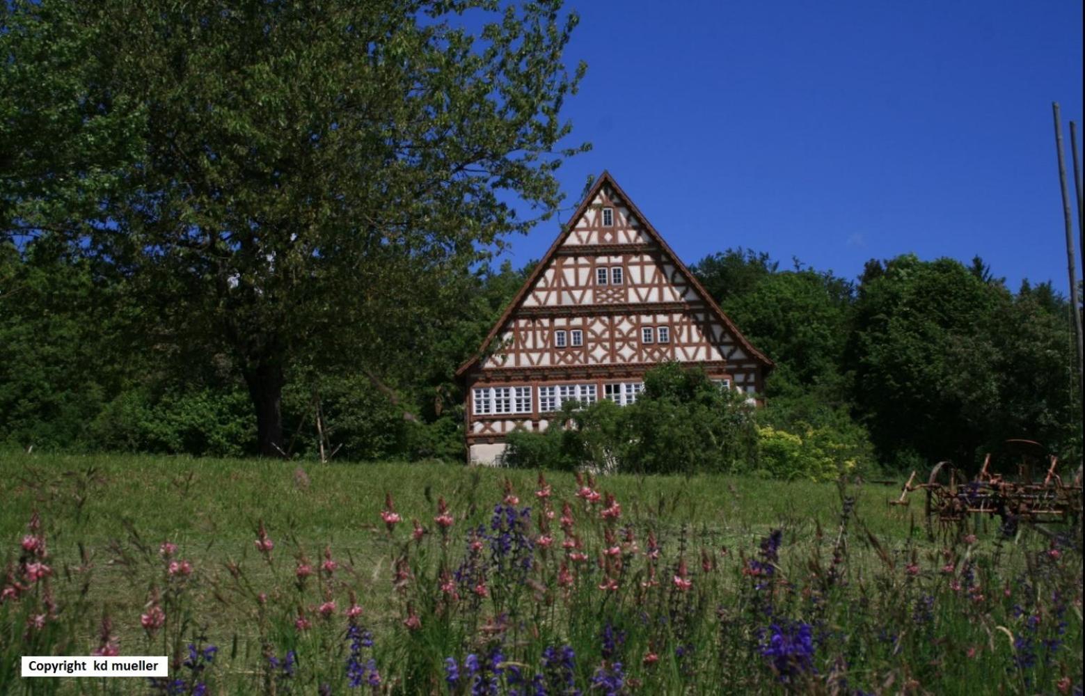 Haus Am Waldrand Villa Triberg im Schwarzwald Екстериор снимка
