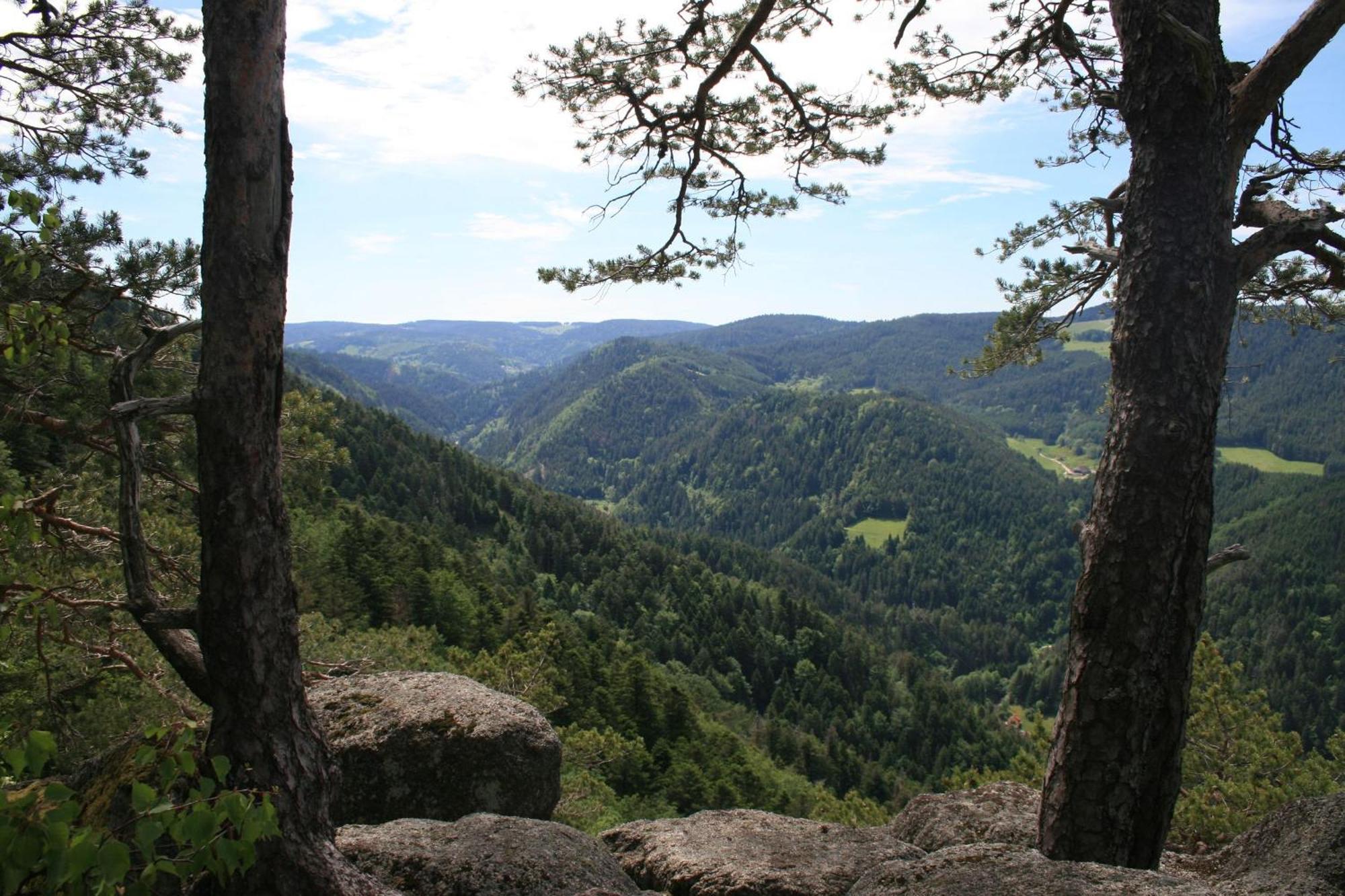 Haus Am Waldrand Villa Triberg im Schwarzwald Екстериор снимка