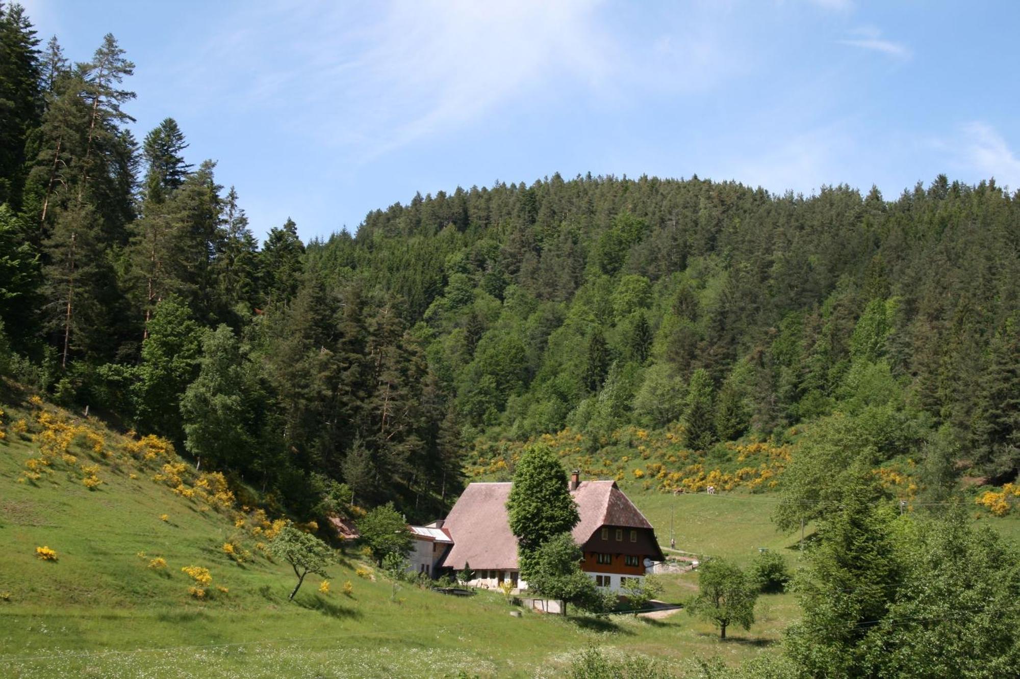 Haus Am Waldrand Villa Triberg im Schwarzwald Екстериор снимка