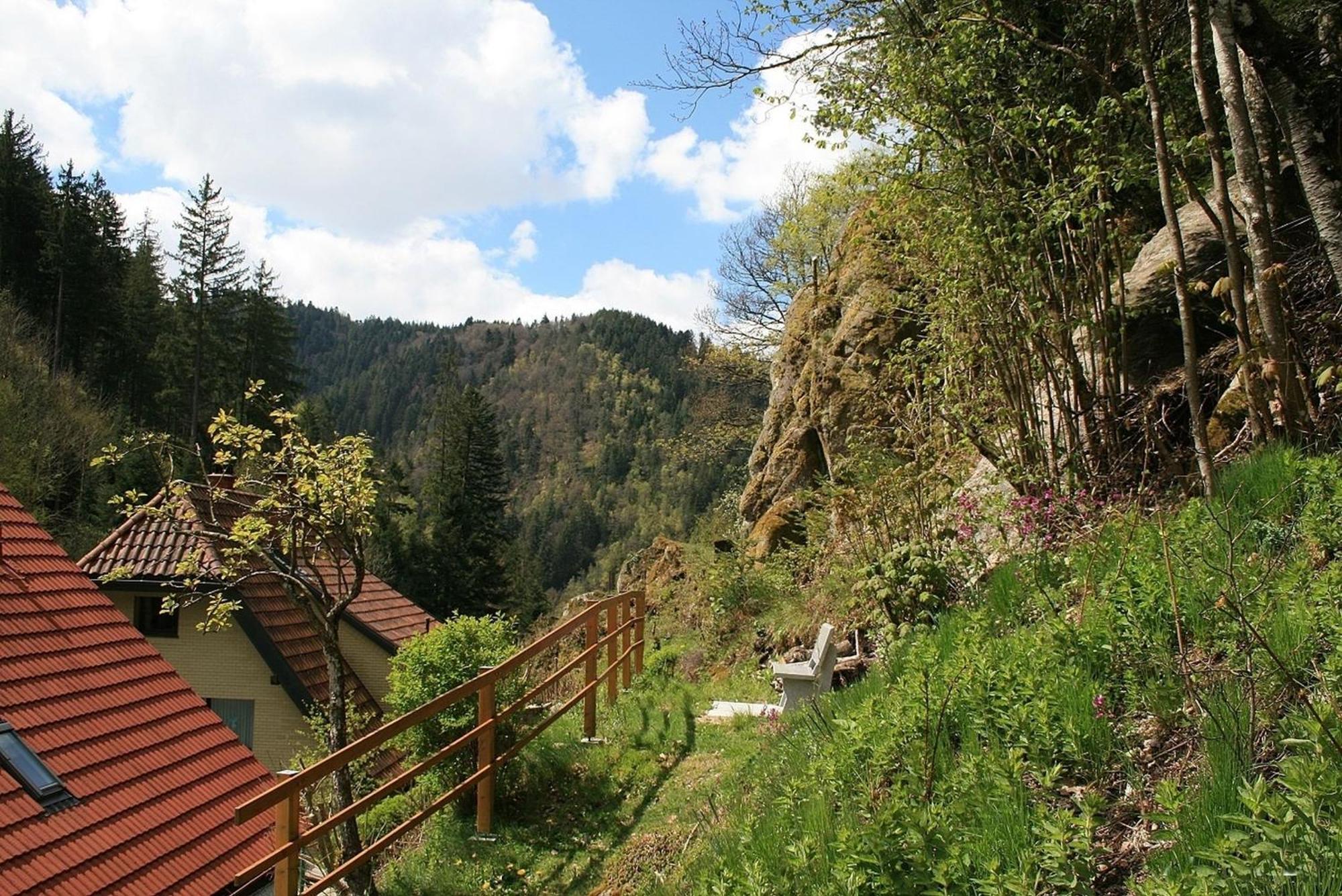 Haus Am Waldrand Villa Triberg im Schwarzwald Екстериор снимка