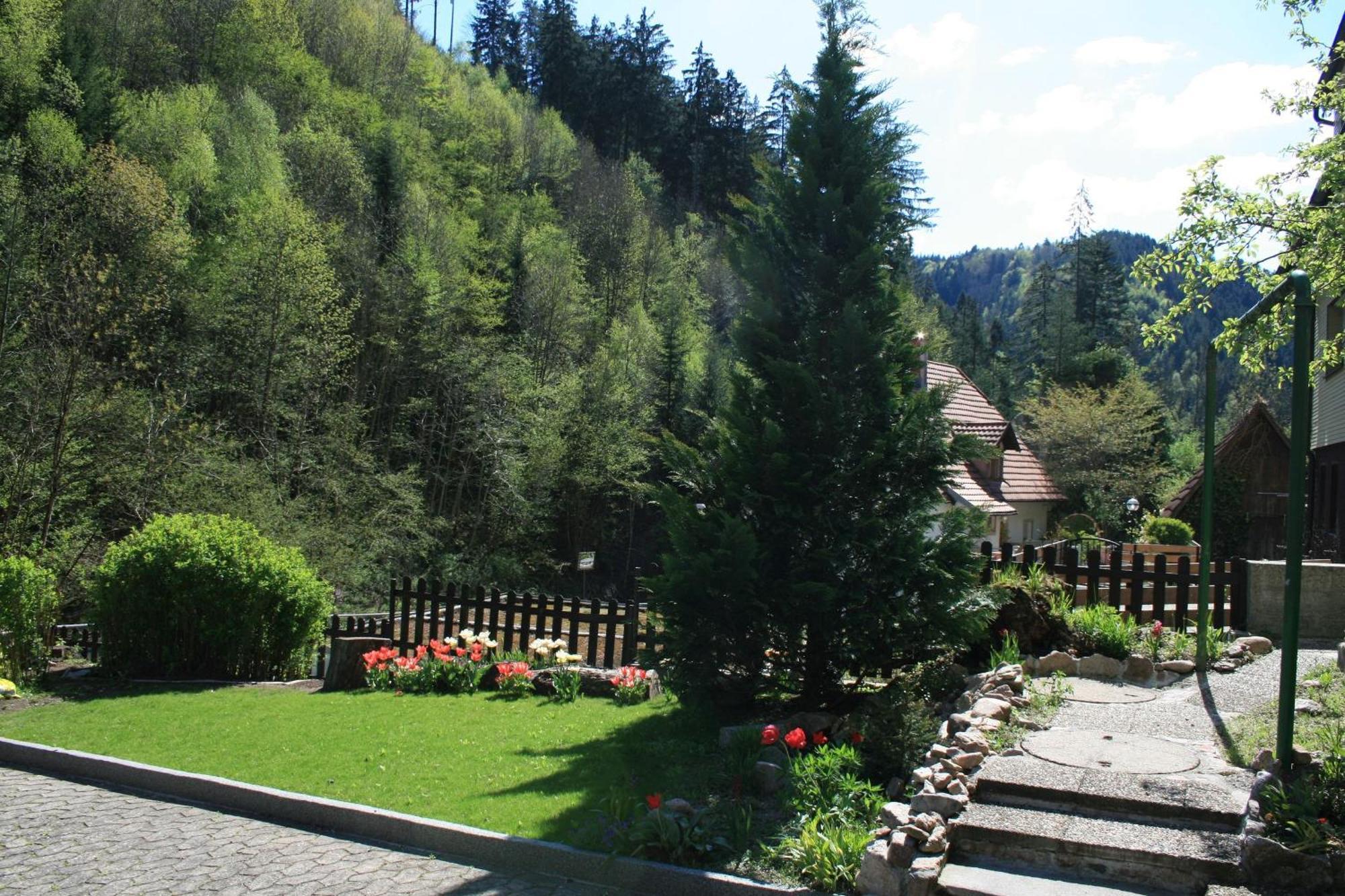 Haus Am Waldrand Villa Triberg im Schwarzwald Екстериор снимка
