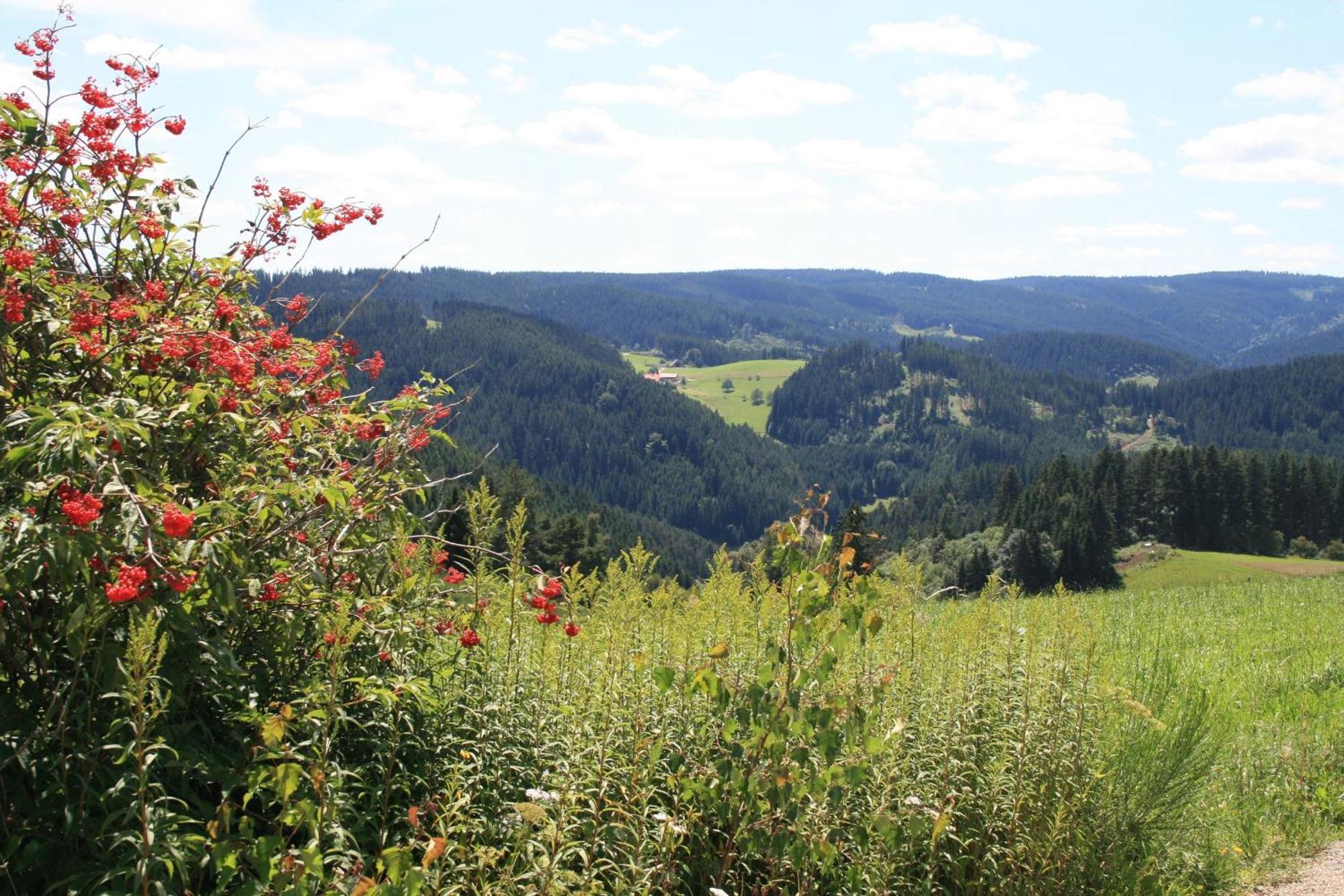 Haus Am Waldrand Villa Triberg im Schwarzwald Екстериор снимка